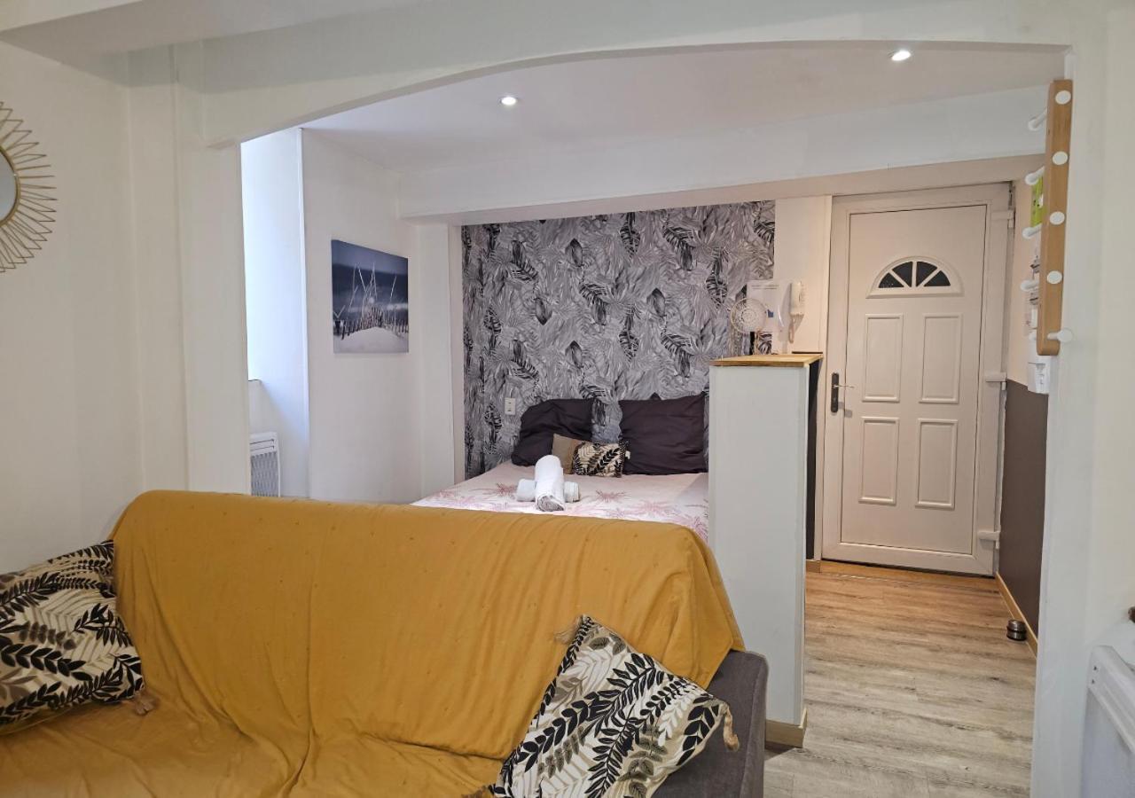 Le Cathare-Limoux-Wifi-Parking Free-Oc-Keys Apartment Ngoại thất bức ảnh
