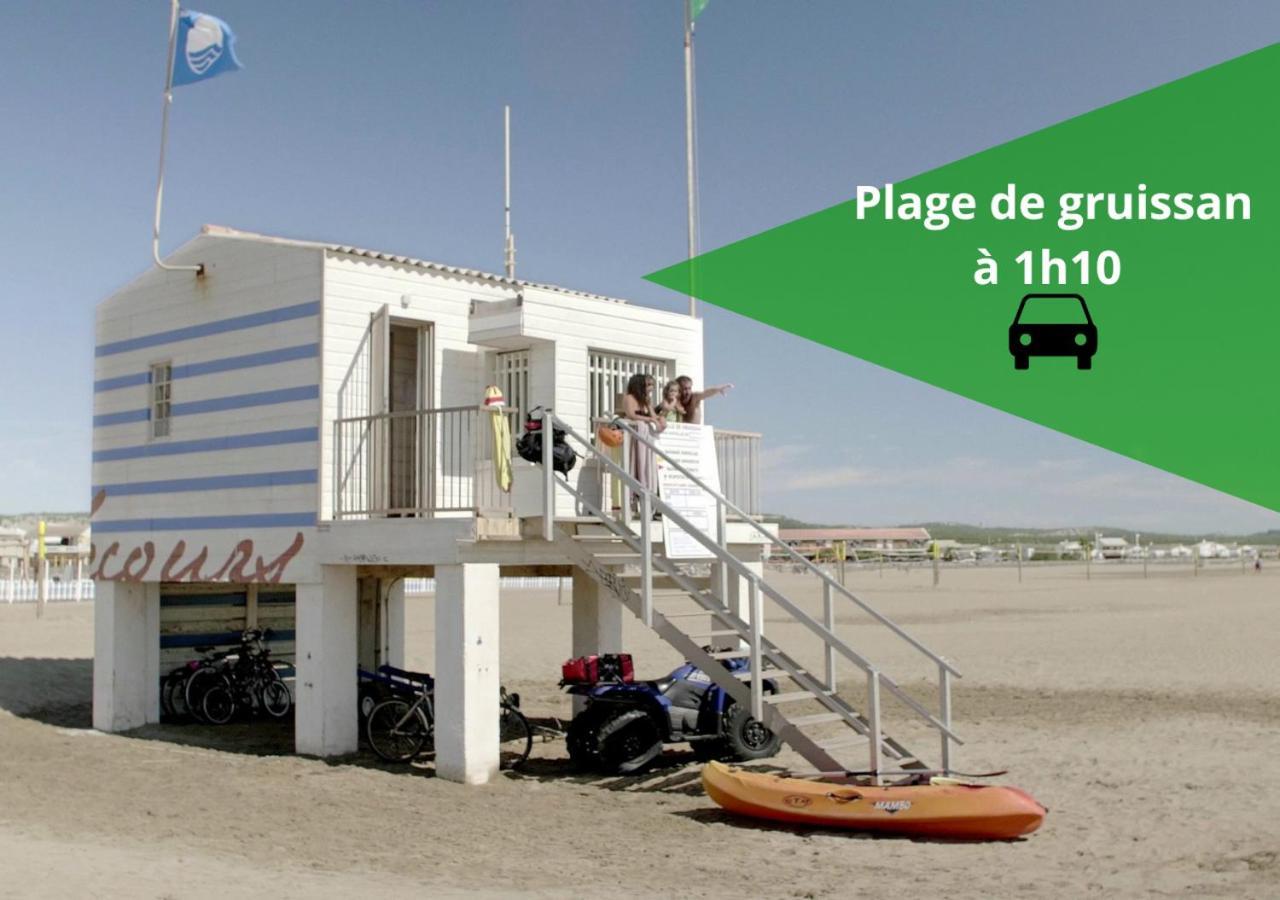Le Cathare-Limoux-Wifi-Parking Free-Oc-Keys Apartment Ngoại thất bức ảnh